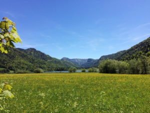 Hintersee