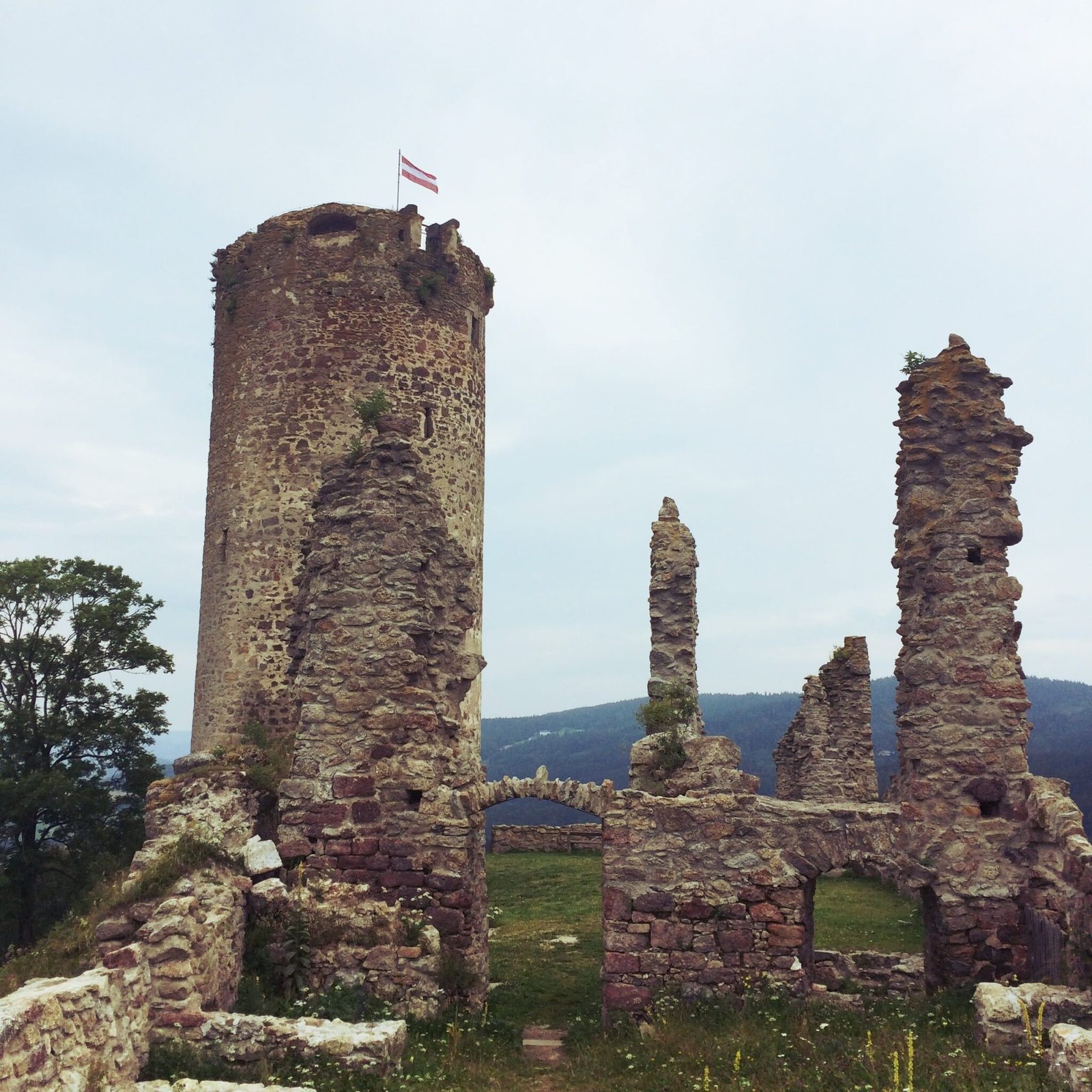 Ruine Waxenberg moonstone