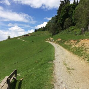 Wildpark Aurach bei Kitzbühel, GoWithTheFlo