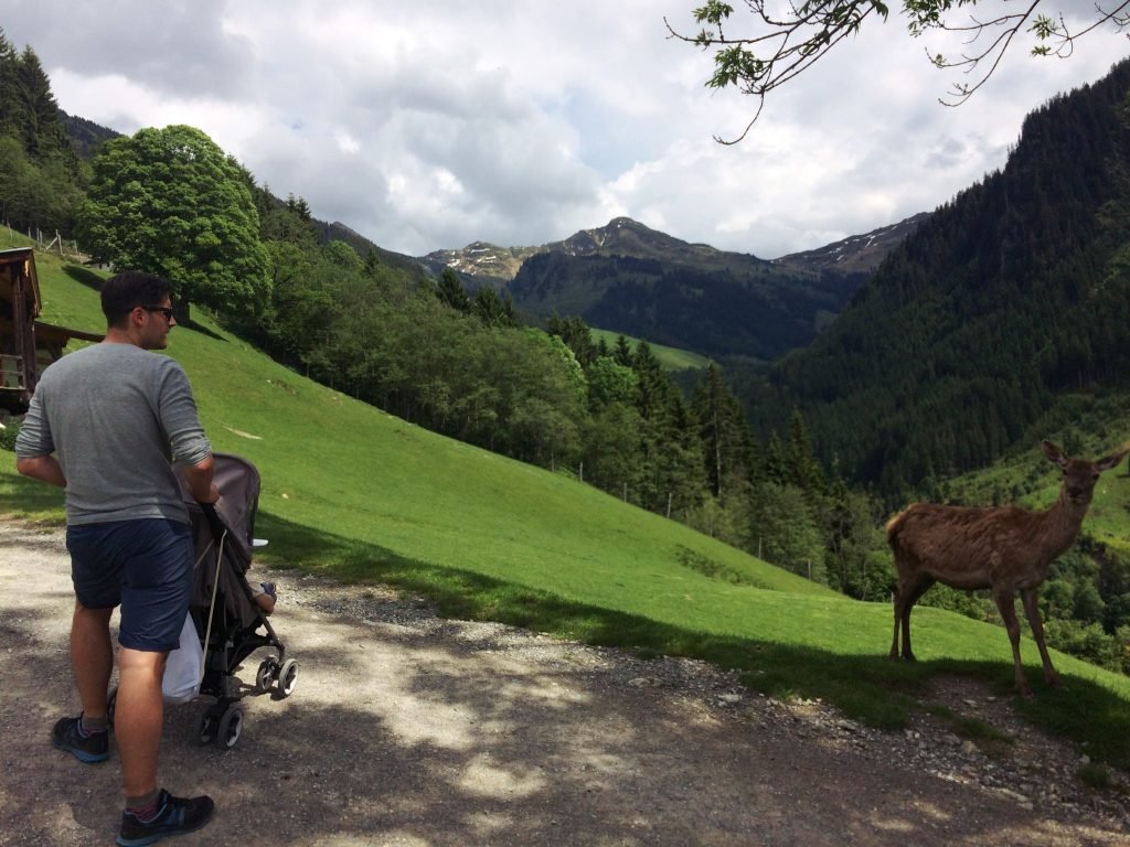 Wildpark Aurach bei Kitzbühel, GoWithTheFlo
