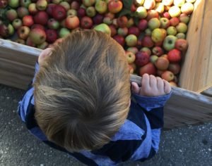 Schmecksontour, GoWithTheFlo