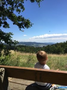 Wasserwanderweg Freistadt, GoWithTheFlo