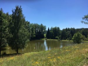 Wasserwanderweg Freistadt, GoWithTheFlo