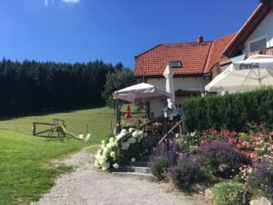 Wasserwanderweg Freistadt, GoWithTheFlo