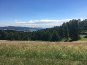 Wasserwanderweg Freistadt, GoWithTheFlo