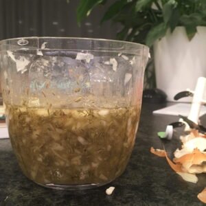 Hustensaft Rezept, GoWithTheFlo