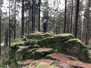 Herbstliche Abenteuerwanderung am Oberneukirchner Berg