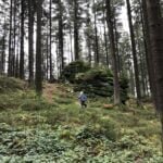 Herbstliche Abenteuerwanderung am Oberneukirchner Berg